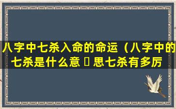 八字中七杀入命的命运（八字中的七杀是什么意 ☘ 思七杀有多厉害）